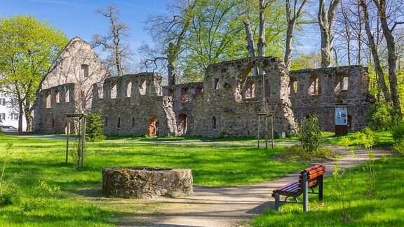 Ruine vom Kloster Nimbschen 2017