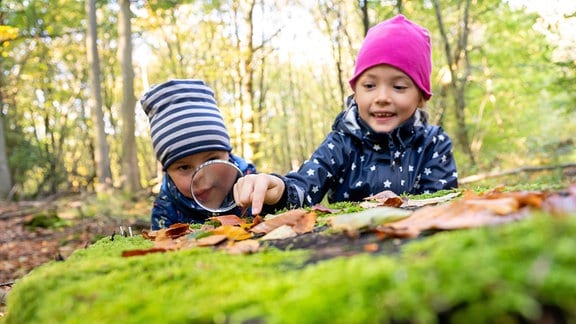 Zwei Kinder betrachten in einem Wald einen Käfer mit einer Lupe