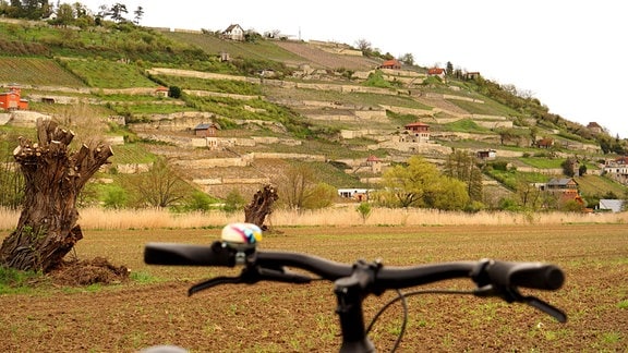 Im Vordergrund ein Fahrradlenker, im Hintergrund Impressionen des Unstrutradwegs zwischen Nebra und Naumburg