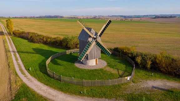 Technisches Denkmal Paltrockwindmühle Schkortitz: Die Mühle ist umgeben von gelben Getreidefeldern.