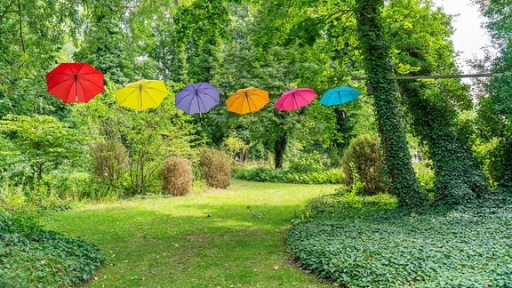 Bunte Schirme im Optikpark Rathenow