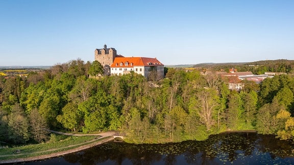 Ausblick auf Schloss Ballenstedt, inmitten von viel grün, auf einem kleinen Berg, vorne ist ein Fluss zu sehen