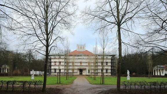 Das eingerüstete Schloss Georgium der Anhaltischen Gemäldegalerie in Dessau-Roßlau (Sachsen-Anhalt), aufgenommen am 07.01.2015. 