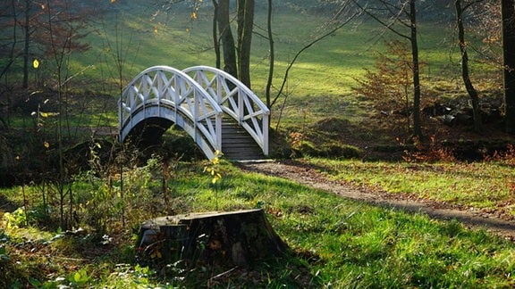 Malerische Ansicht einer Holzbrücke über einen Bach in saftig grüner Landschaft