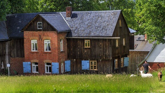Ein altes Bauernhaus, umgeben von grünen Wiesen und Feldern.