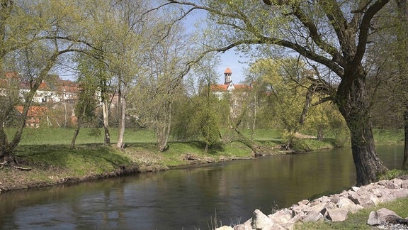 Stadtansicht von Waldenburg über die Zwickauer Mulde: Grünende Bäume neigen sich über einen Fluss.