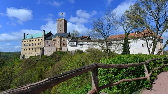 Blick auf die Wartburg in Eisenach von einem Wanderweg aus, im Hintergrund blauer Himmel