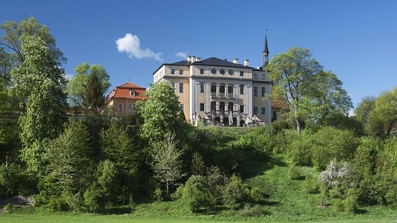 Schloss Ettersburg steht bei gutem Wetter und blauen Himmel leicht erhöht auf einem grünen Hügel