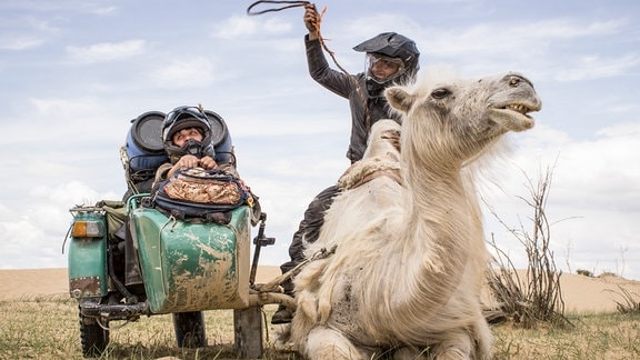 Von unten fotografiert: Ein Mann mit Helm sitzt auf einem Kamel, an dem Kamel ist der Anhänger eines Motorrads angebracht, in dem eine andere Person mit Helm sitzt.
