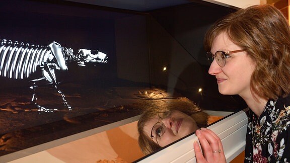 Im Bromacker Lab auf Schloss Friedenstein in Gotha schaut eine Frau auf ein Skelett aus der Urzeit 