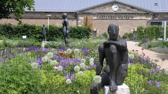 Eine Skulptur eines sitzendes Menschen vor einer blühenden Wiese, im Hintergrund das Gebäude des Gartenbaumuseums in Erfurt