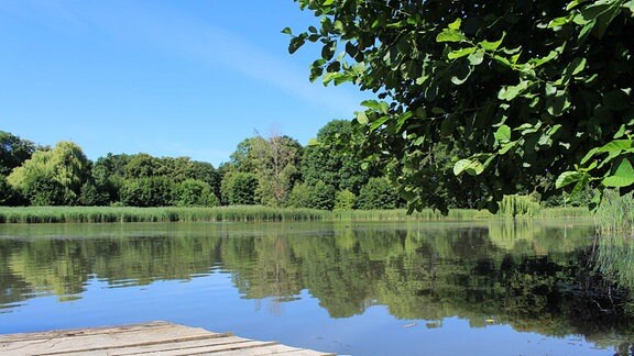 Teich an der Orangerie in Bendeleben.