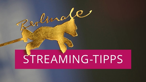 Das Logo der Berlinale - der Goldene Bär - neben dem Schriftzug Streaming-Tipps