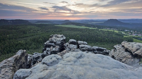 Abendstimmung auf dem Gohrisch im Elbsandsteingebirge