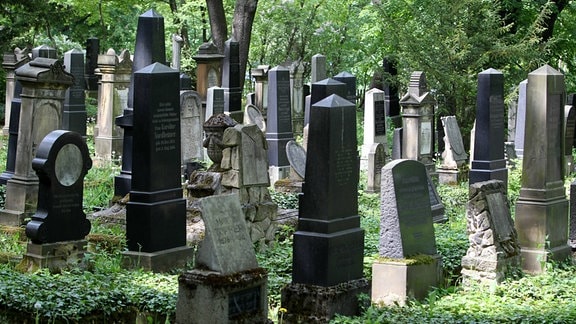 Alte Grabsteine auf dem Neuen Jüdischen Friedhof Erfurt 