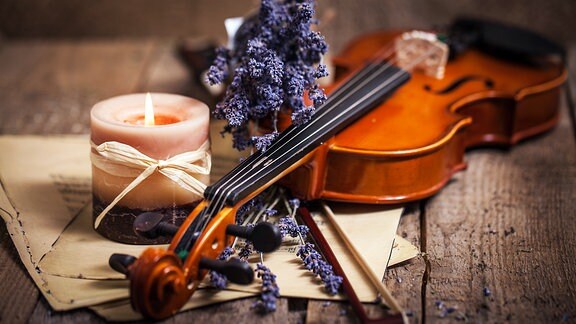 Nachtmusik - Komposition mit Violine und Lavendel