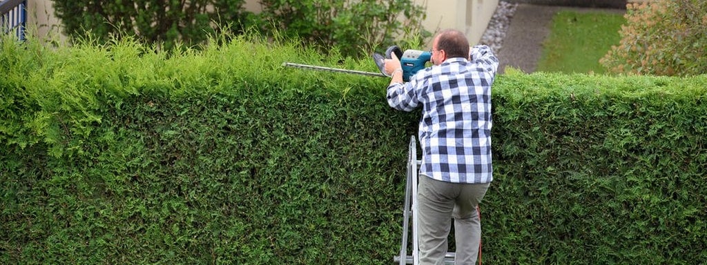 Was Am Gartenzaun Und An Der Grundstucksgrenze Erlaubt Ist Mdr De