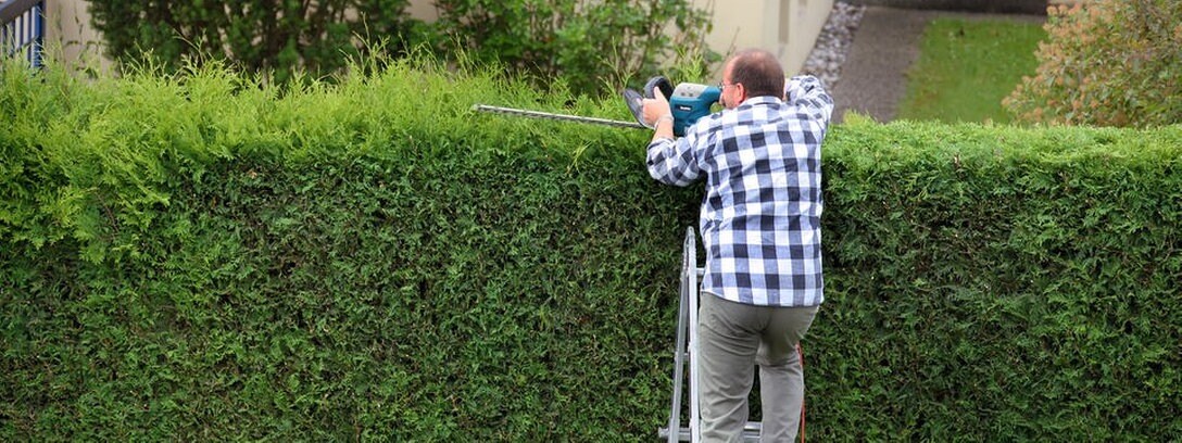 Rechtsfragen Im Garten Mdr De