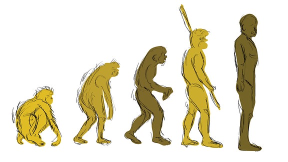 Darstellung der Evolution