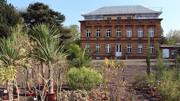 Der Botanische Garten in Halle.
