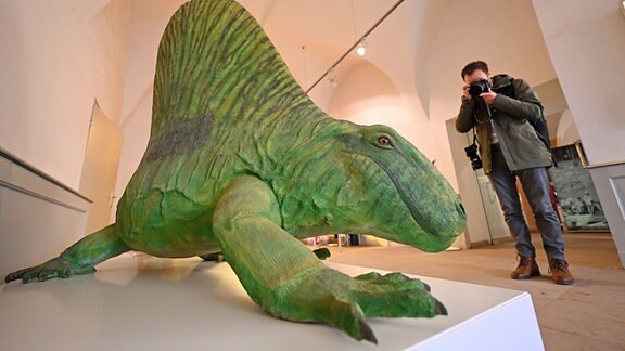 Ein Mann fotografiert die Nachbildung eines Dimetrodon