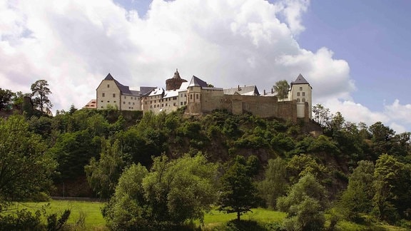 Burg Mildenstein, Blick über eine Wiese und Wälder auf die Burganlage, die sich auf einem Berg erhebt.