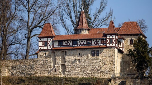 Die Burg Neuhaus ist die Ruine einer Höhenburg auf 365 m ü. NN in Neuhaus-Schierschnitz in Thüringen. 