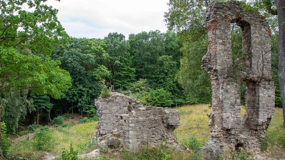Teile einer Burgruine auf einer Wiese, im Hintergrund Wald.