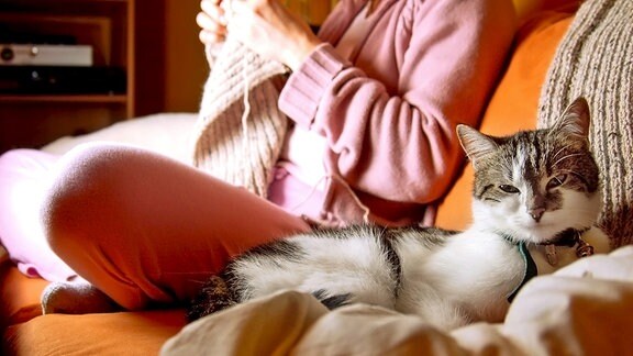 Während eine Frau strickt, liegt eine Katze neben ihr auf der Couch.