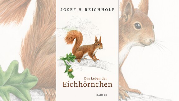 Josef H. Reichholf: „Das Leben der Eichhörnchen”