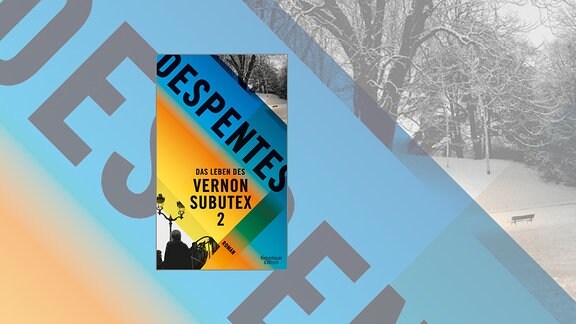 Virginie Despentes: "Das Leben des Vernon Subutex 2"