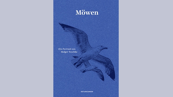 Cover: Holger Teschke: Möwen. Ein Portrait. Hg. von Judith Schalansky.