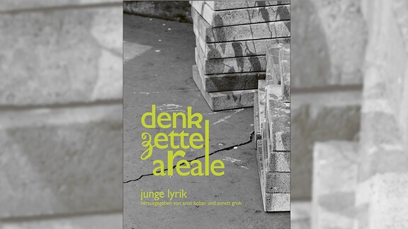 Cover „Denkzettelareale“