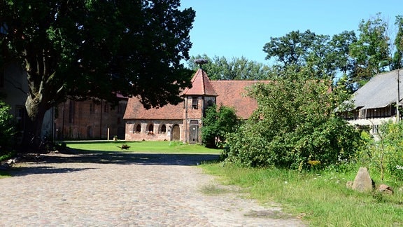 Kloster Dambeck, ein Weg führt zu einem Backsteingebäude, davor steht ein Baum