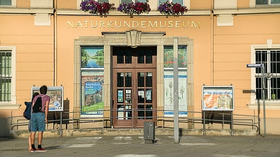 Senckenberg Museum für Naturkunde, Görlitz