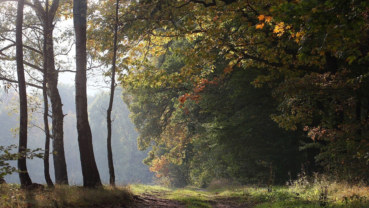 Urlaub Zuhause Herbstferien In Corona Zeiten Mdr De