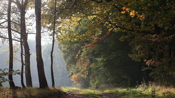 Finsterbergen - Wanderwege im Thüringer Wald