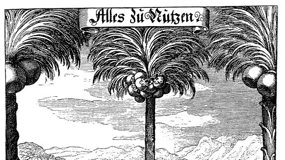 Historischer Druck, Kupferstich von 1636, Titelseite der Die Fruchtbringende Gesellschaft oder Palmenorden.