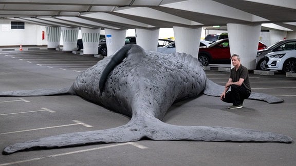 Der israelische Künstler Gil Shachar hockt in der Tiefgarage am Theaterplatz neben seiner Buckelwal-Installation «The Cast Whale Project». 