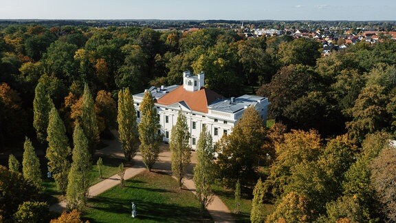 Blick von oben auf das Georgium Dessau: ein weißes Schloss zwischen mehreren Laubbäumen.