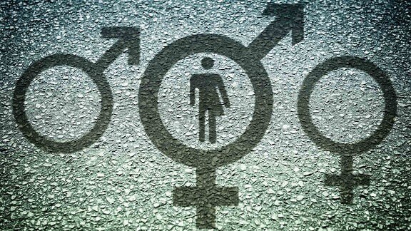 Piktogramm von Mann und Frau gemischt, Intersexualität