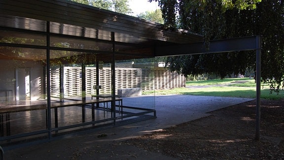 Minimalistischer Glasbau mit geraden Linien und Holzdach, umgeben von einem Park