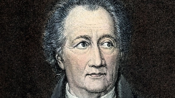 Johann Wolfgang von Goethe (1749 - 1832), im 69. Lebensjahr