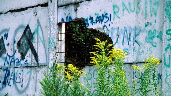 Loch in einer mit Grafitti überzogenen Mauer, die einst DDR und BRD von einander trennte