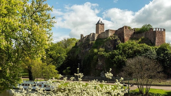 Burg Giebichenstein in Halle, davor die Saale und ein blühender Baum