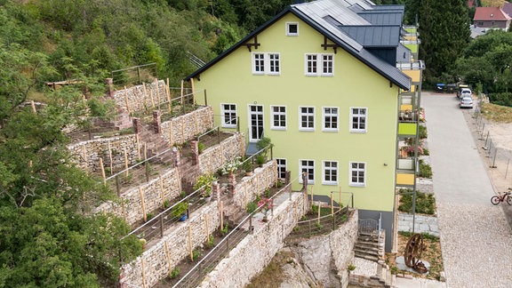 Wohnhaus mit grüner Fassade, davor ein terassenförmig angelegter Garten