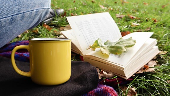 Ein Mensch sitzt auf einer Decke im Park, daneben eine Tasse und ein Buch