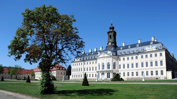 Jagdschloss Hubertusburg, ein helles Gebäude mit einem Turm, davor eine Wiese und ein Baum. 