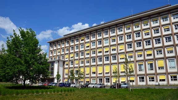 Institut für Kern- und Teilchenphysik TU Dresden