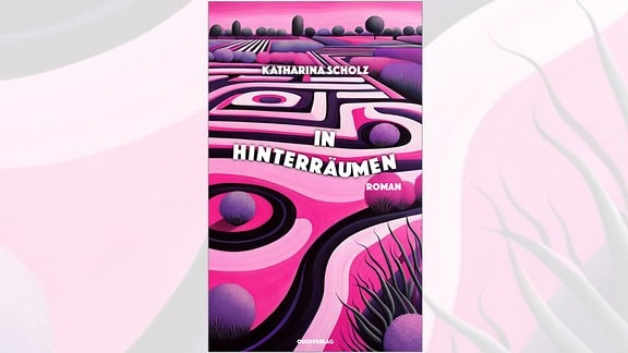 Buchcover des Romans "In Hinterräumen" von Katharina Scholz